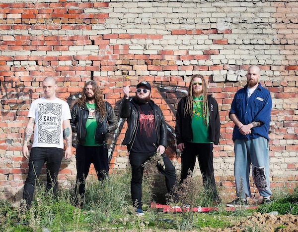kingparrotband2