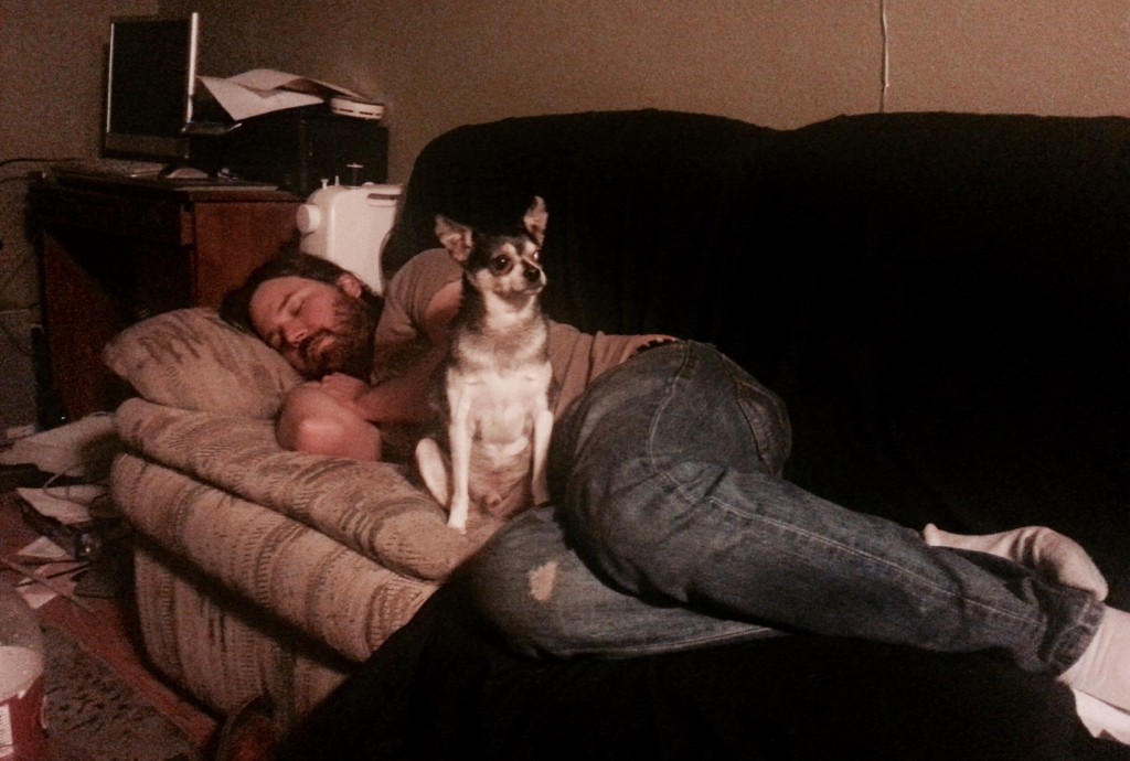 Dogs love Brent